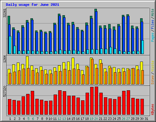 Daily usage for June 2021