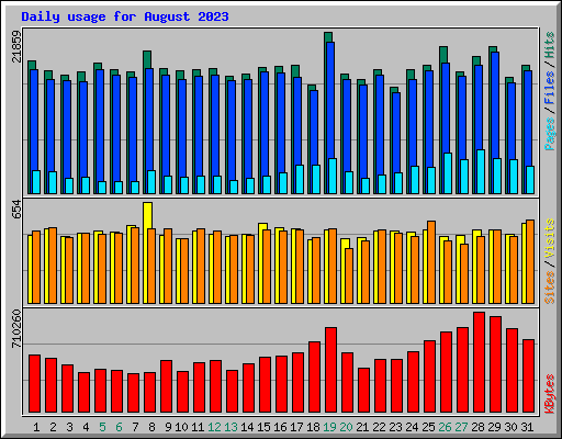 Daily usage for August 2023