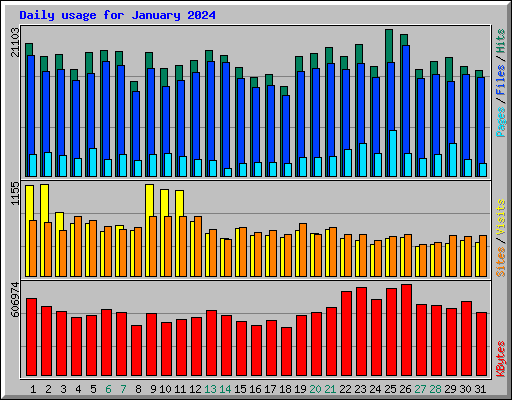 Daily usage for January 2024