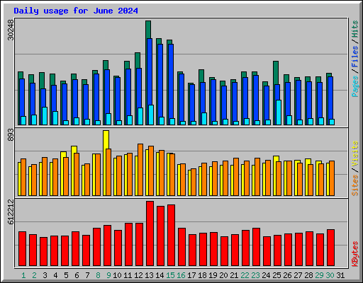 Daily usage for June 2024