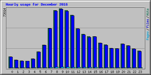 Hourly usage for December 2016