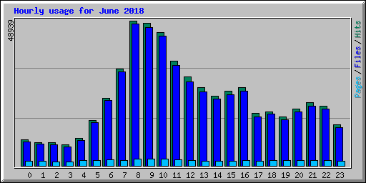 Hourly usage for June 2018