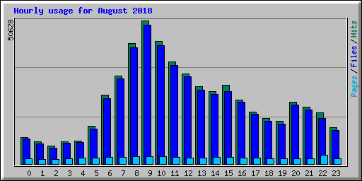 Hourly usage for August 2018