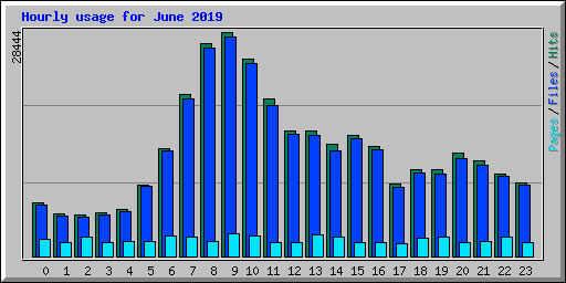 Hourly usage for June 2019