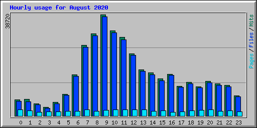 Hourly usage for August 2020