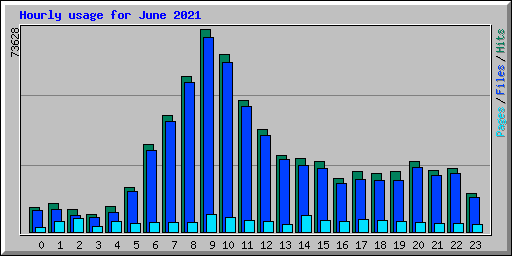 Hourly usage for June 2021