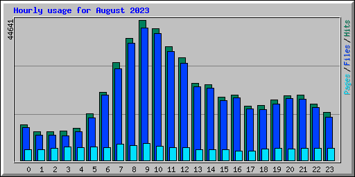 Hourly usage for August 2023