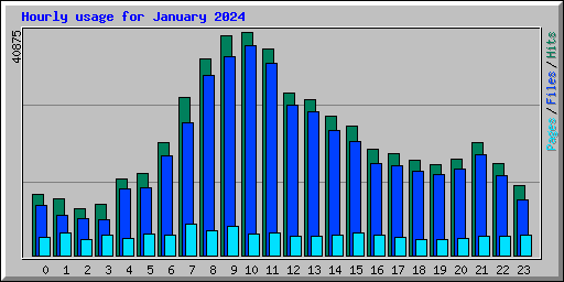 Hourly usage for January 2024