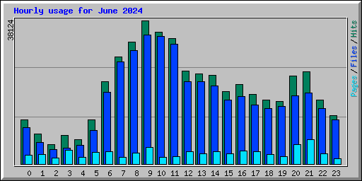 Hourly usage for June 2024