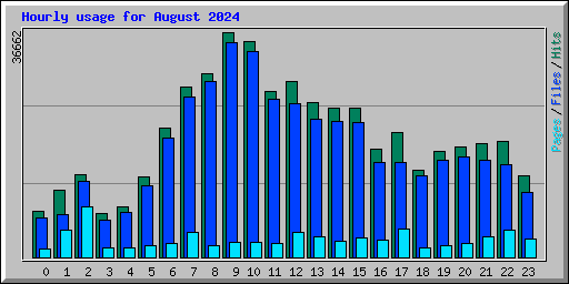 Hourly usage for August 2024