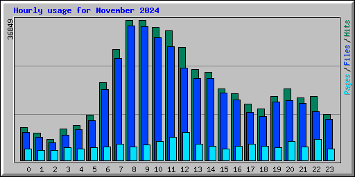 Hourly usage for November 2024