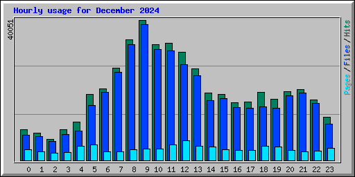 Hourly usage for December 2024