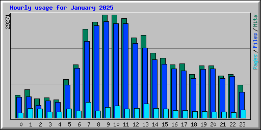 Hourly usage for January 2025