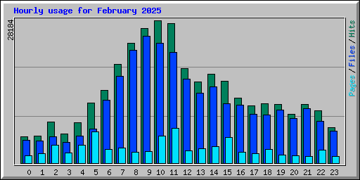 Hourly usage for February 2025