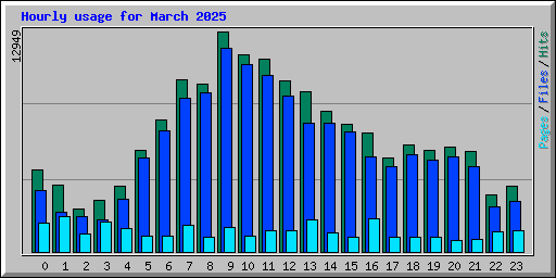 Hourly usage for March 2025