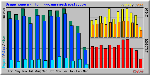 Usage summary for www.murraysbagels.com