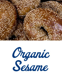 Organic Sesame